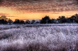 frosty-winter-sunrise-1